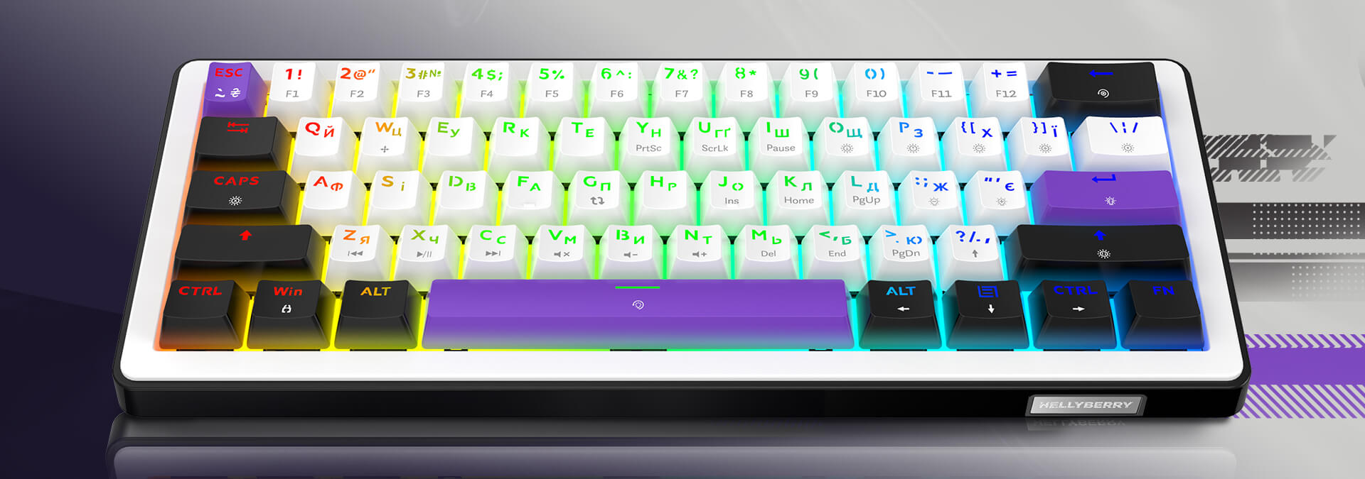 HATOR Hellyberry HK60